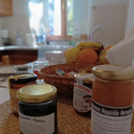 Σπίτι διακοπών το παραδοσιακό Βυζίτσα